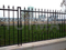 Wrought Iron Fence & Gate